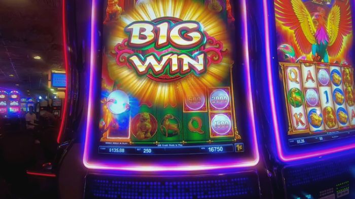 2017 slot machine wins videos