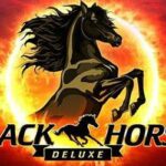 Black horse deluxe